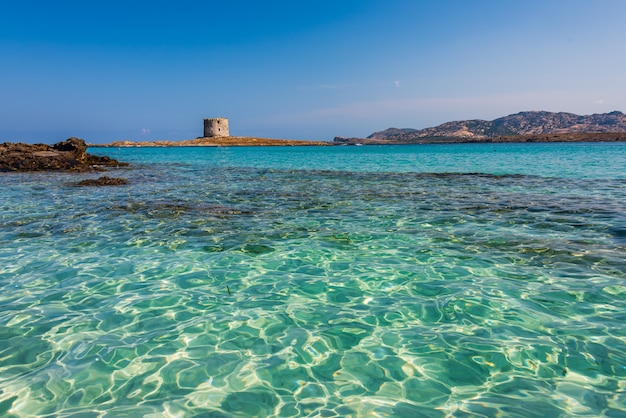 Il mare di Stintino