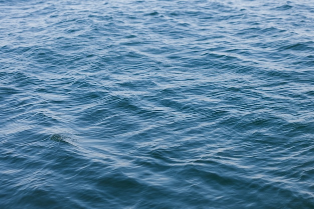 Il mare in primo piano. trama dell'acqua. superficie dell'acqua con le onde. Foto di alta qualità