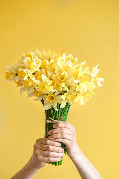 Il maschio passa sulla parete gialla con un mazzo di narcisi gialli.