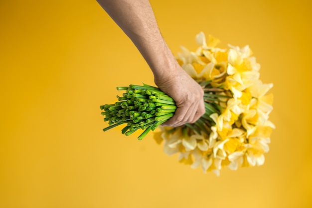 Il maschio passa sulla parete gialla con un mazzo di narcisi gialli.