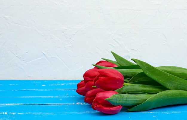 Il mazzo dei tulipani di fioritura rossi con i gambi e le foglie verdi, fiori si trova