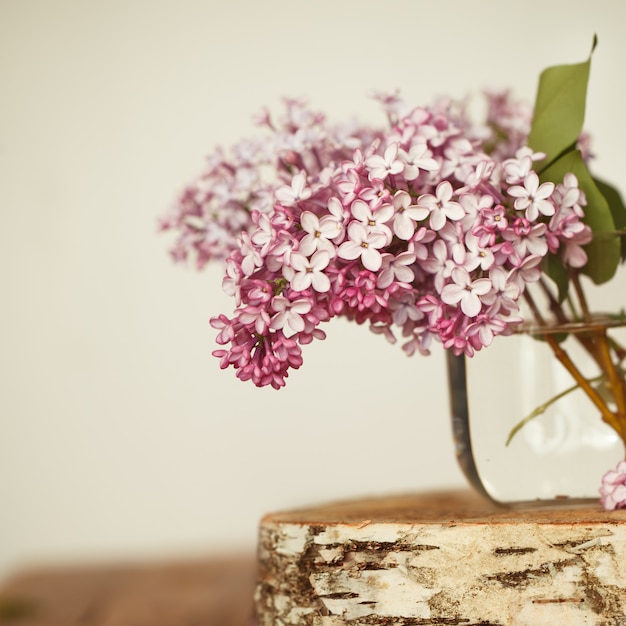 Il mazzo della molla lilla fiorisce su fondo di legno.