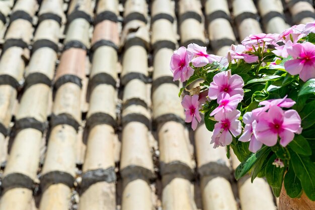 Il mazzo di fiori lilla isolati su uno sfondo indistinto di un vecchio tetto da una piastrella di ceramica