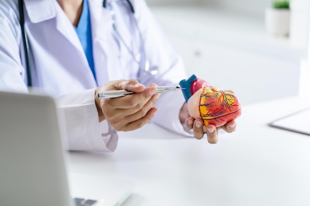 Il medico consulta il paziente sul laptop con il modello anatomico del cuore umano Il cardiologo supporta il cuore Appuntamento medico online