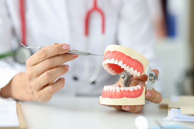 Il medico dentista tiene la mascella umana artificiale e l'infiammazione della radice del dente dello strumento o