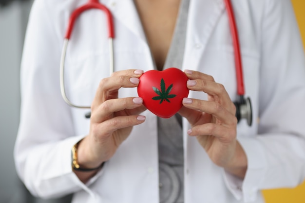 Il medico tiene il cuore con il segno di marijuana. Malattie trattate con il concetto di marijuana