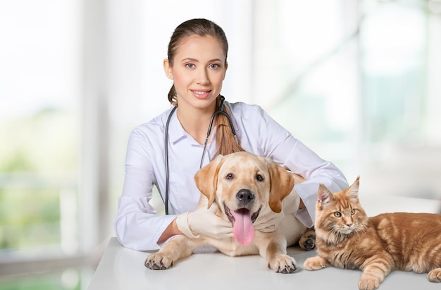 Il medico veterinario abbraccia cane e gatto alla clinica veterinaria.