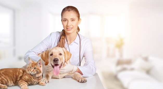 Il medico veterinario abbraccia cane e gatto alla clinica veterinaria.