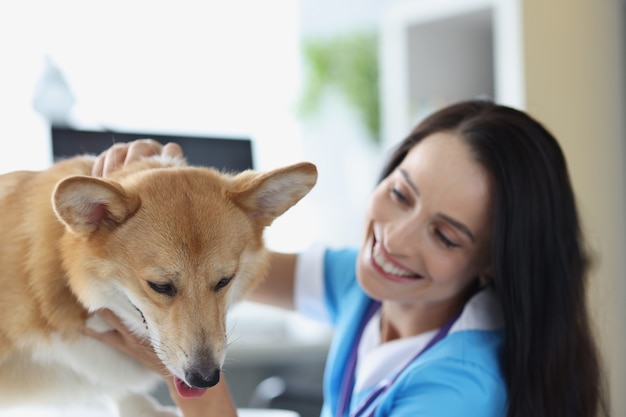 Il medico veterinario sorridente conduce l'esame fisico del concetto di assicurazione sanitaria per animali domestici del cane