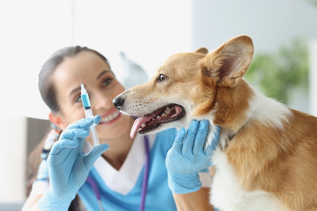 Il medico veterinario tiene la siringa con l'ago davanti al concetto di vaccinazione dell'animale domestico del cane