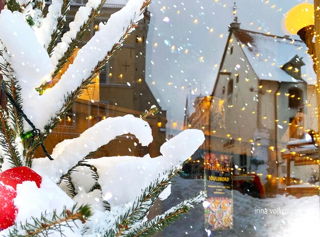 Il mercato dell'albero verde festivo di Natale ha offuscato l'illuminazione della luce del bokeh a Tallinn