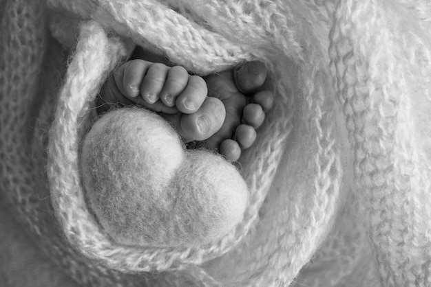 Il minuscolo piede di un neonato. Morbidi piedi di un neonato in una coperta di lana. Primo piano delle dita dei piedi, dei talloni e dei piedi di un neonato. Cuore lavorato a maglia nelle gambe del bambino. Macrofotografia in studio. Bianco e nero.