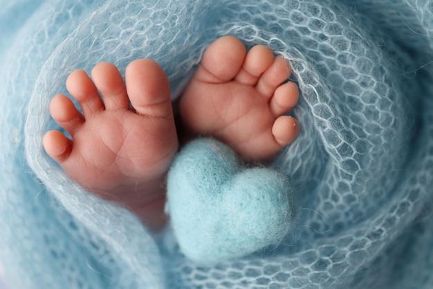 Il minuscolo piede di un neonato Piedi morbidi di un neonato in una coperta di lana blu Primo piano delle dita dei piedi talloni e piedi di un neonato Cuore blu lavorato a maglia nelle gambe del bambino Macro fotografia in studio