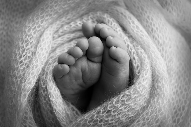 Il minuscolo piede di un neonato. Piedi morbidi di un neonato in una coperta di lana. Primo piano delle dita dei piedi, dei talloni e dei piedi di un neonato. Studio Macrofotografia. Foto in bianco e nero.