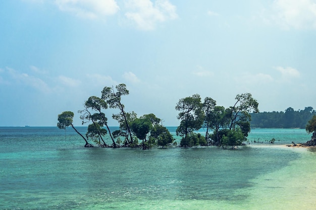 Il molo dell'Isola di Havelock, una delle principali destinazioni turistiche delle Isole Andamane e Nicobare, India Bellissimo paesaggio marino di un'esotica isola tropicale nell'Oceano Indiano
