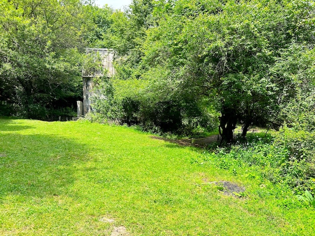 Il monastero di Jukhtak si trova nel Parco Nazionale di Dilijan