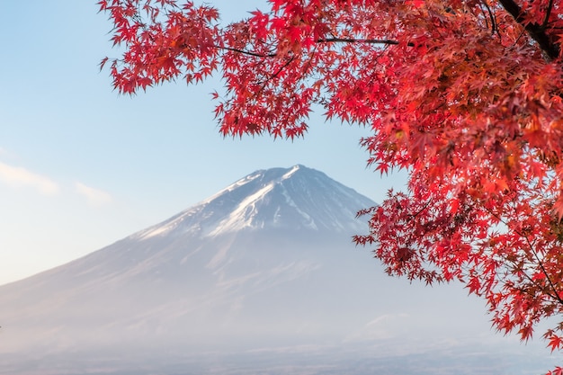 Il monte Fuji con acero rosso lascia la mattina al lago Kawaguchiko, Yamanashi, Giappone