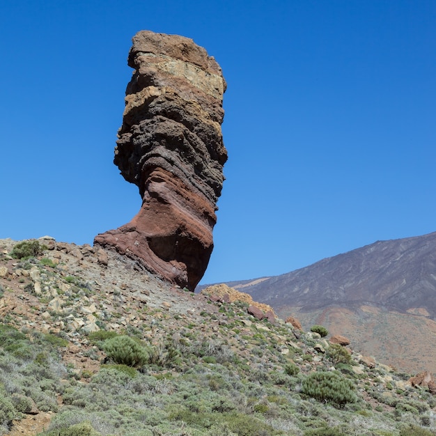 Il monte Teide e la roccia detta l'Albero