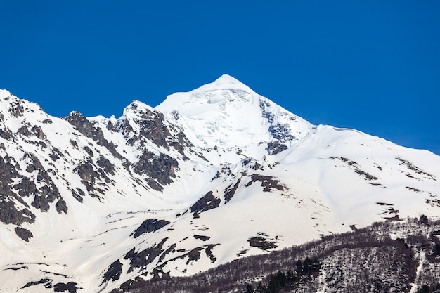 Il monte Tetnuldi si erge sopra la Grande Catena Caucasica nell'alto Svaneti. Georgia. Viaggiare