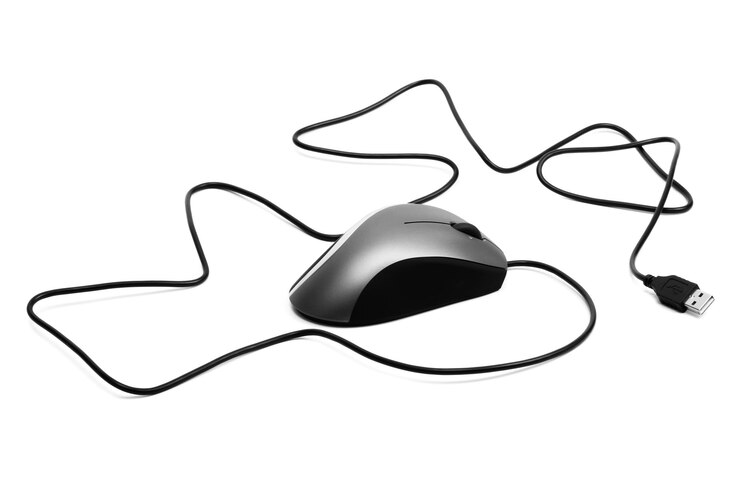 Foto il mouse con una rotellina