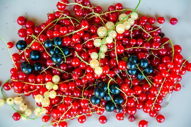 Il mucchio di bacche estive ribes rosso nero e bianco