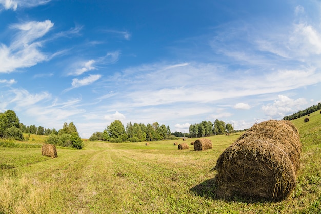 Il mucchio di fieno rotola sul campo con erba verde e cielo blu nuvoloso. Lente fish-eye