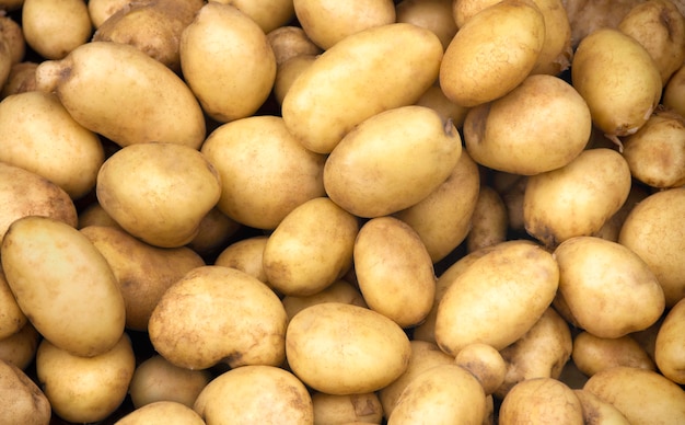 Il mucchio di patate fresche in vendita nell'espositore di verdure al supermercato mostra cibo biologico, cibo vegetariano, cibo sano. Mucchio di vendita di patate in uso sul mercato per texture e sfondo.