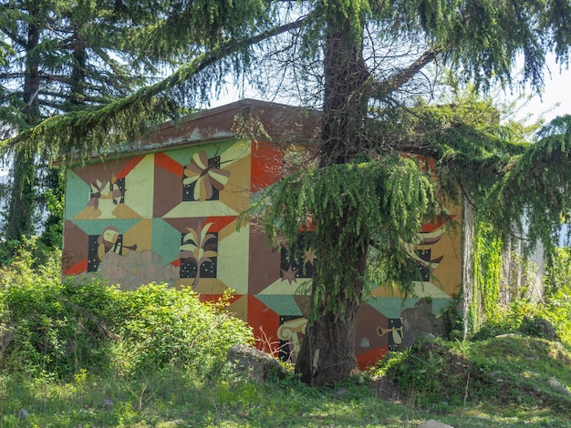 Il muro di una vecchia casa abbandonata ricoperta di piante Edificio abbandonato