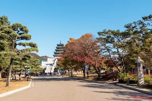 Il museo popolare nazionale della Corea si trova a Seoul, in Corea del Sud, nella stagione autunnale