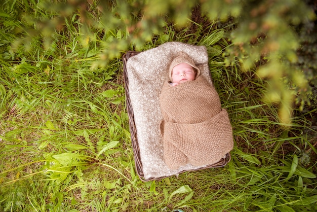 Il neonato dorme nel cestino all'aperto nell'erba verde