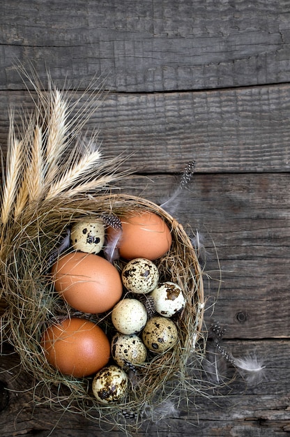 Il nido eggs pasqua, fondo rustico di legno