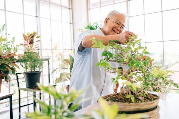 Il nonno asiatico in pensione ama prendersi cura delle piante in un giardino interno della casa.
