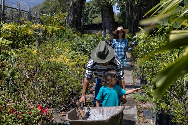 Il nonno con la figlia e il nipote latinoamericano lavorano sui cespugli