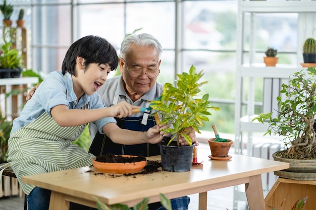 Il nonno fa giardinaggio e insegna al nipote a prendersi cura delle piante in casa