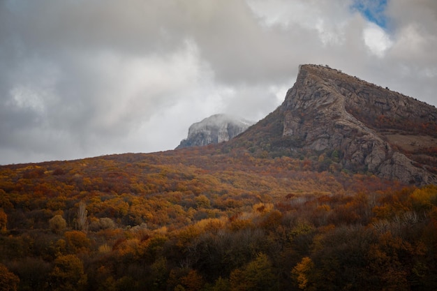 Il paesaggio autunnale di montagna con la foresta colorata nuvoloso clima autunnale pesante cielo plumbeo e la foresta giallo brillante ai piedi delle montagne