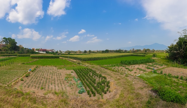 Il paesaggio con fattoria e cielo blu nella provincia di Nan, a nord della Thailandia.