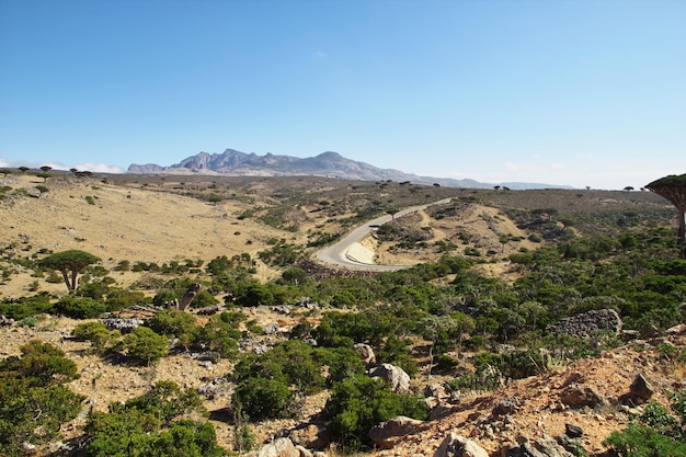 Il paesaggio dell'isola di Socotra Oceano Indiano Yemen