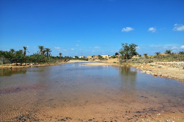 Il paesaggio dell'isola di Socotra Oceano Indiano Yemen