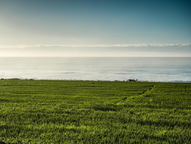 Il paesaggio delle praterie e delle coste