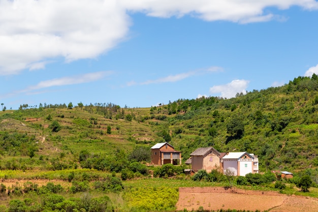 Il paesaggio di campi verdi e case