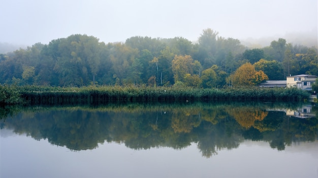 Il paesaggio di un lago nel parco