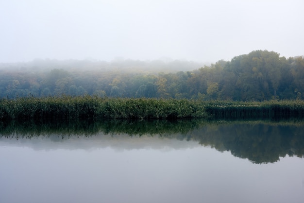 Il paesaggio di un lago nel parco