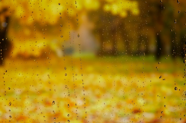 Il paesaggio fuori dalla finestra in una giornata di pioggia