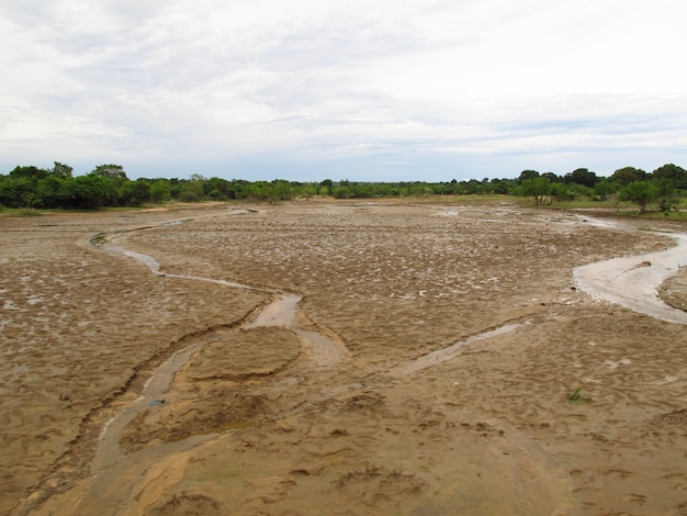 Il paesaggio nel parco nazionale di Yala, Sri Lanka