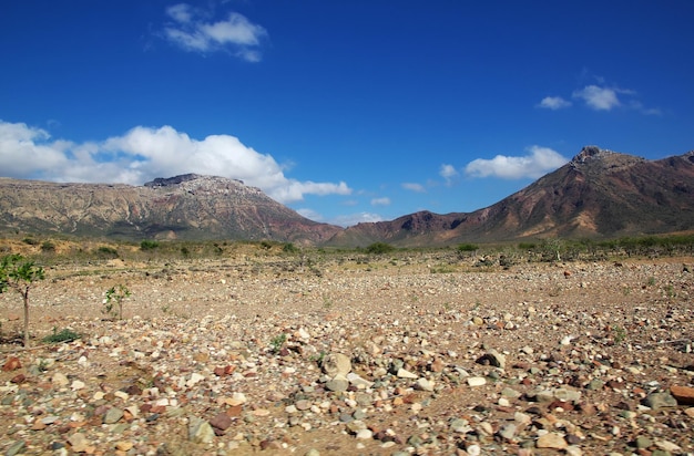 Il paesaggio sull'altopiano di Homhil isola di Socotra Oceano Indiano Yemen