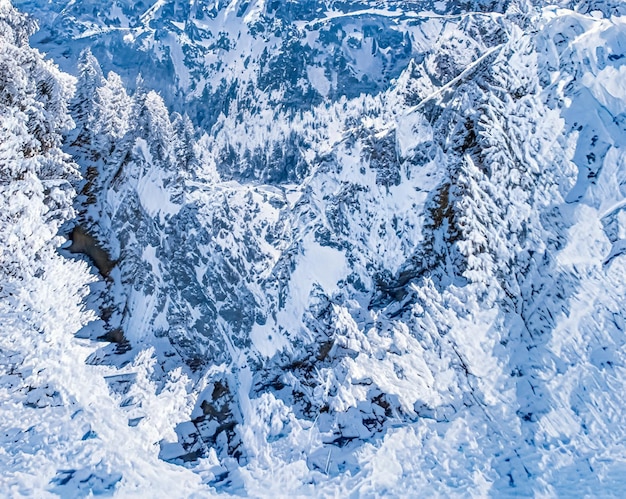 Il paese delle meraviglie invernale e il paesaggio natalizio innevato alberi della foresta coperti di neve come sfondo per le vacanze