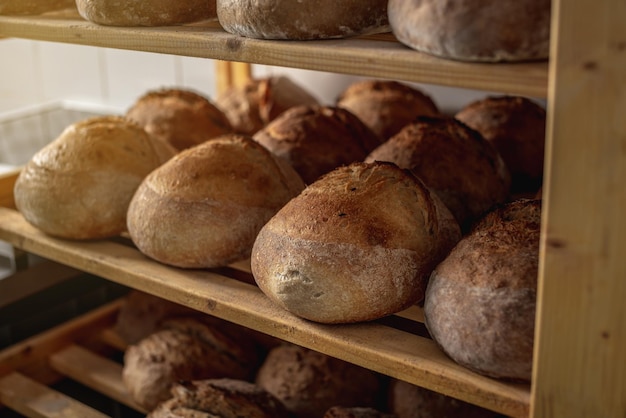 Il pane tondo di grano appena sfornato con una crosta croccante dorata su lievito naturale si trova sugli scaffali della panetteria