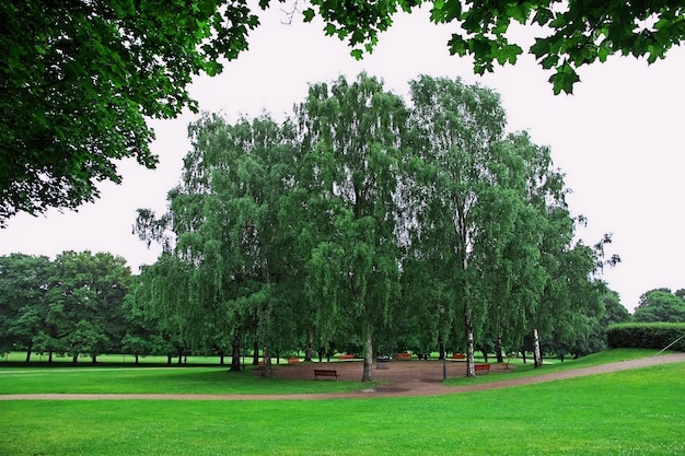 Il parco a Oslo Norvegia