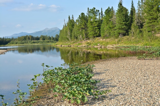 Il parco nazionale Yugyd VA Il fiume Shchugor