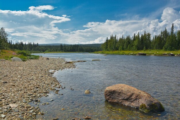 Il parco nazionale Yugyd VA Il fiume Shchugor